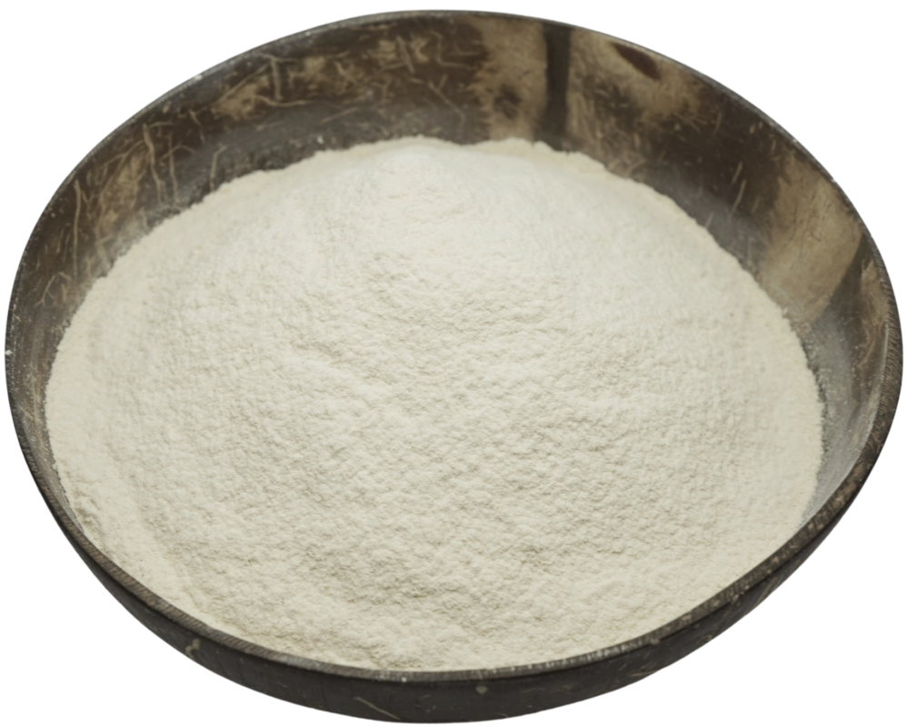 dunasoy95-removebg-997x800